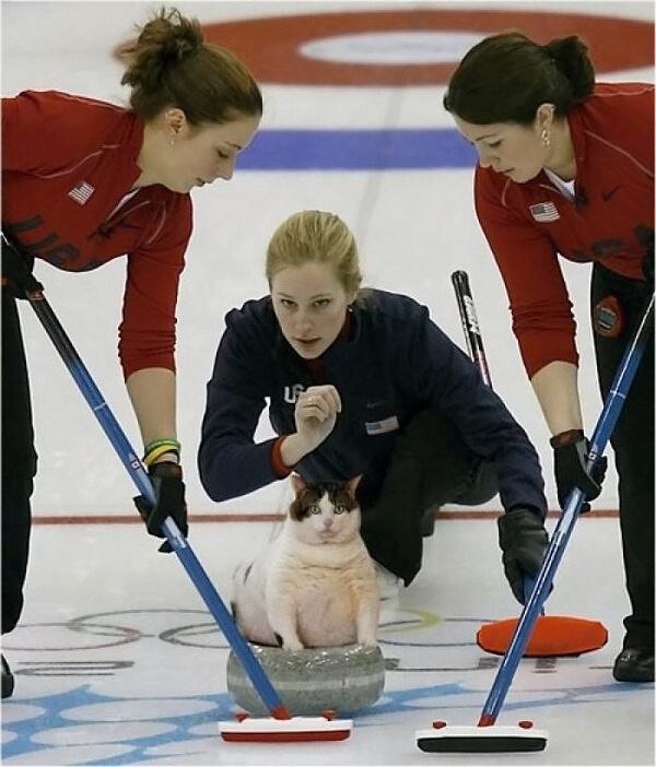 Obrázek Catcurling