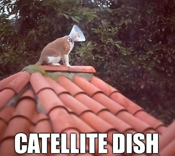 Obrázek Catellite-dish