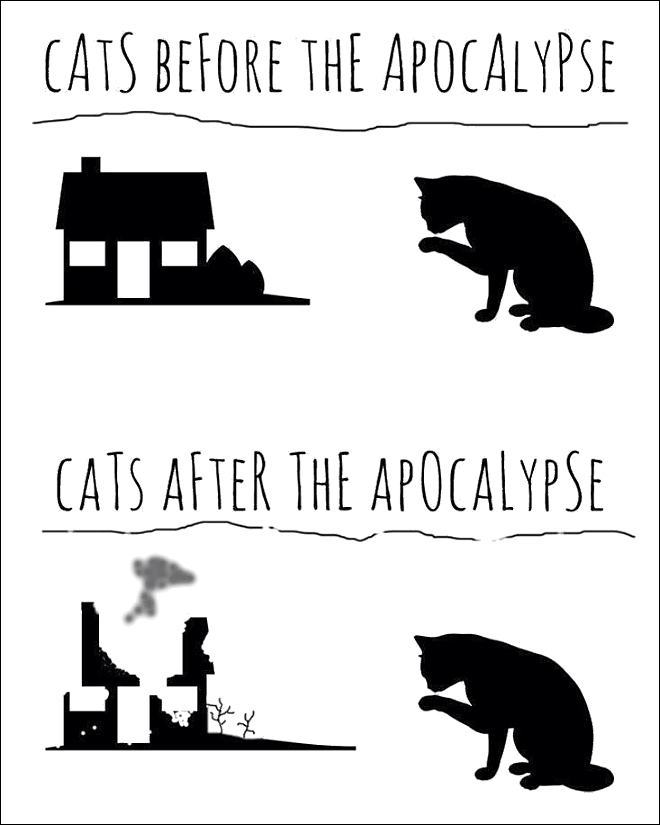 Obrázek Cats Before and After Apocalypse