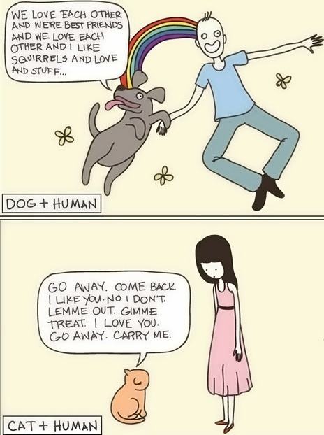 Obrázek Cats vs dogs 