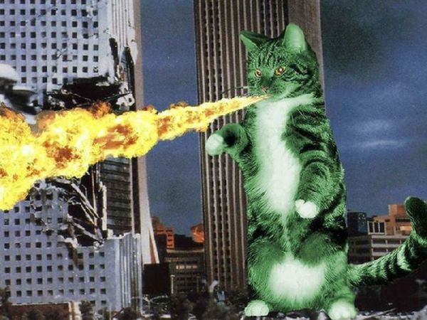 Obrázek Catzilla Attack