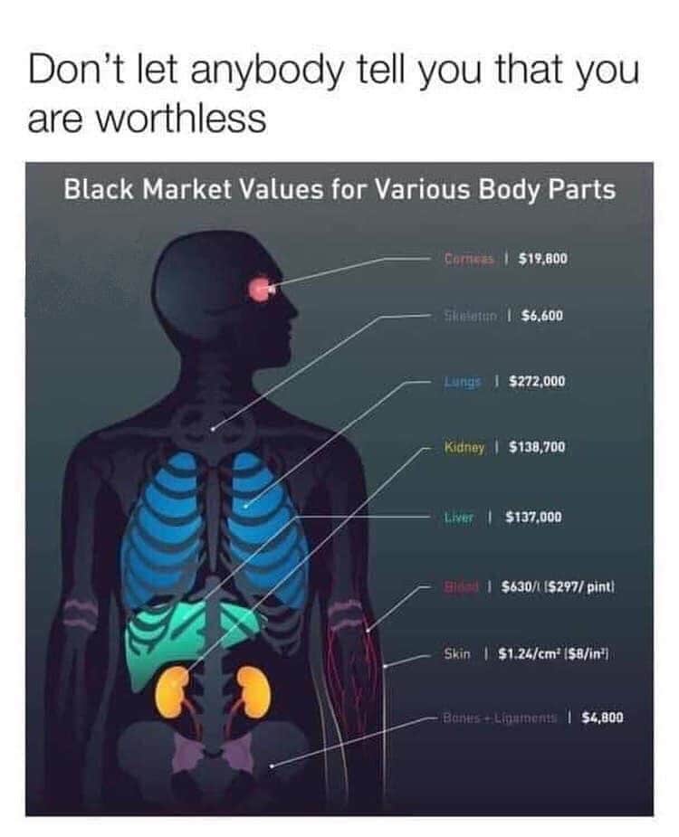 Obrázek Cena organu na cernem trhu