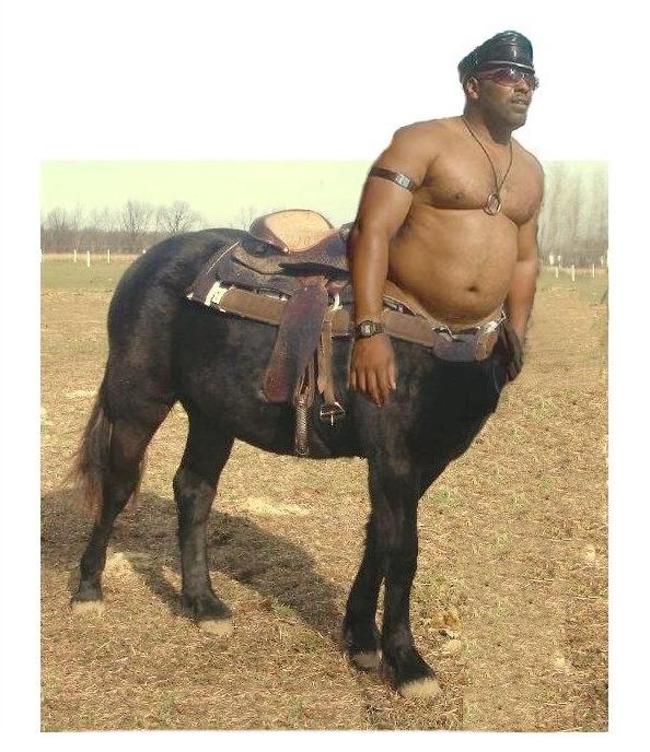 Obrázek Centaur