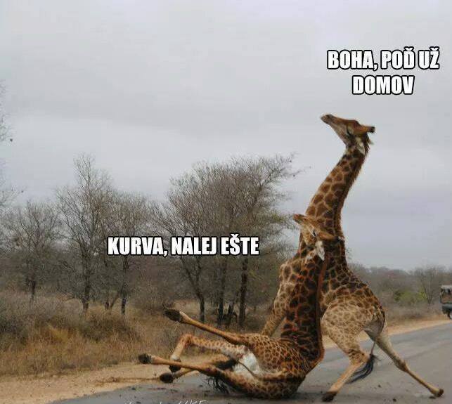 Obrázek Cesta z hospody