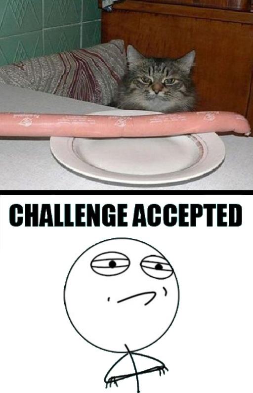 Obrázek ChallengeAccepted cat