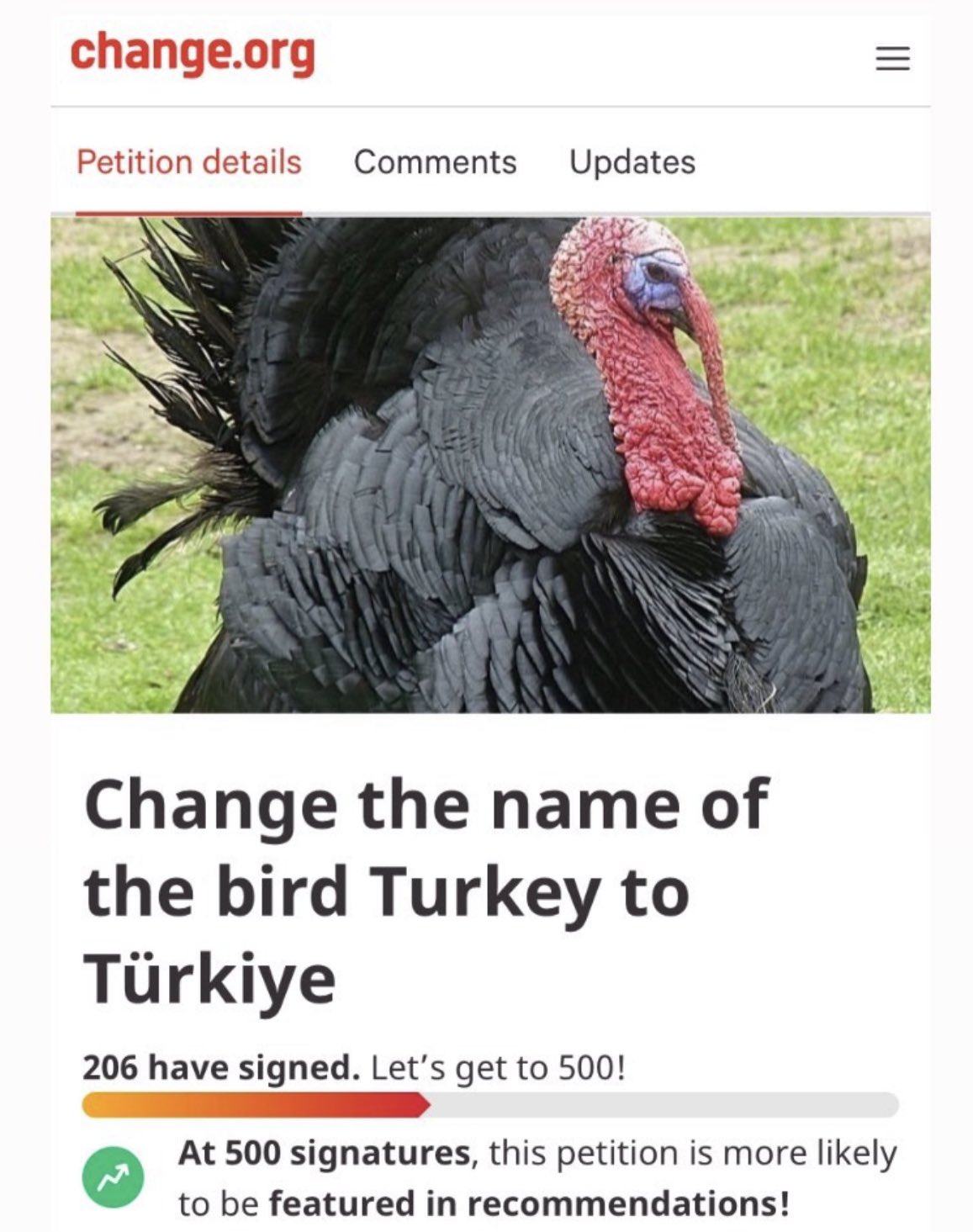 Obrázek Change the name Turkey to Turkiye