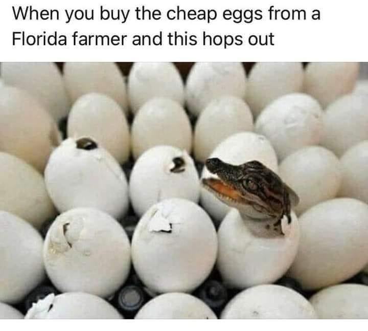 Obrázek CheapEggs