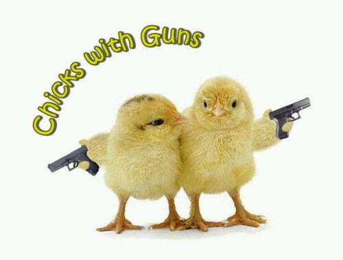 Obrázek Chicks with guns