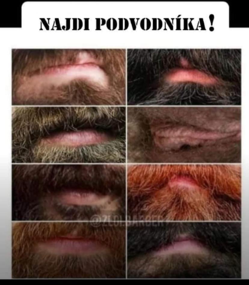 Obrázek Chlupate pusy - vzpominame