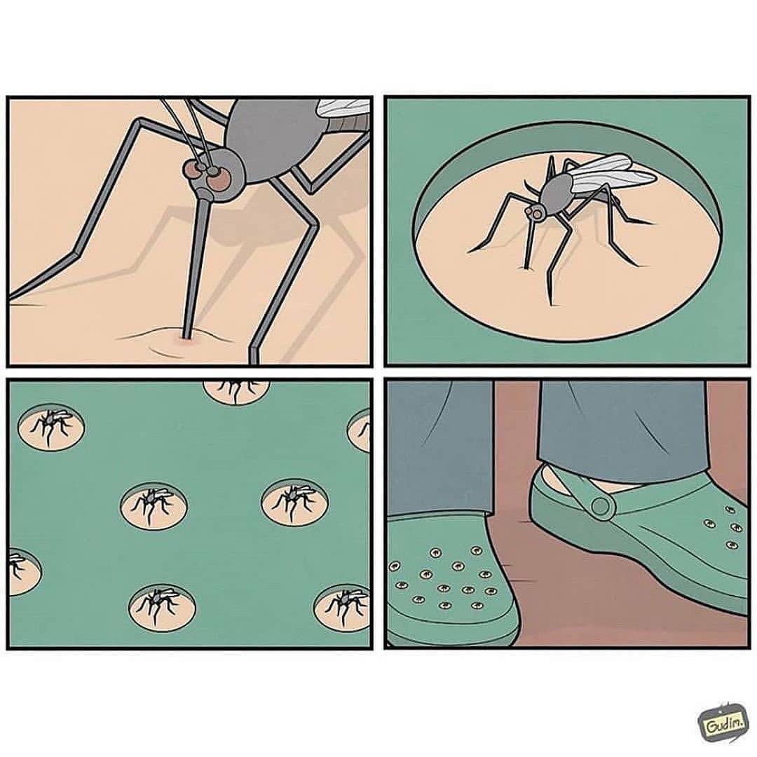 Obrázek Chovna&nbsp;stanice