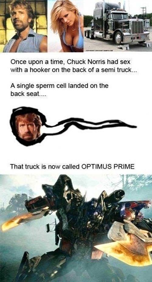 Obrázek Chuck Norris had sex