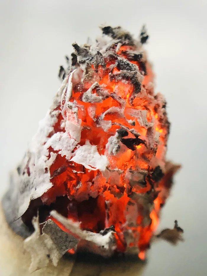 Obrázek Cigarette-close-up