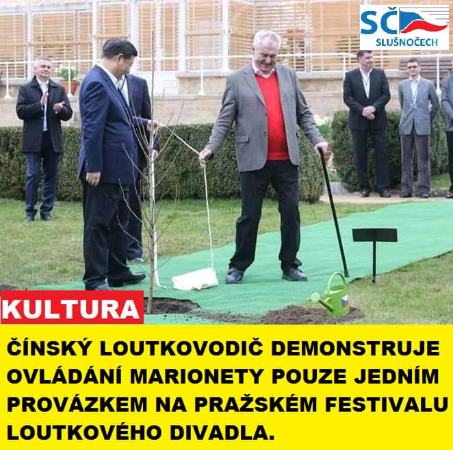 Obrázek Cinsky loutkovodic