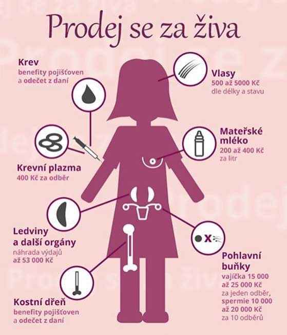 Obrázek Co muzes prodat