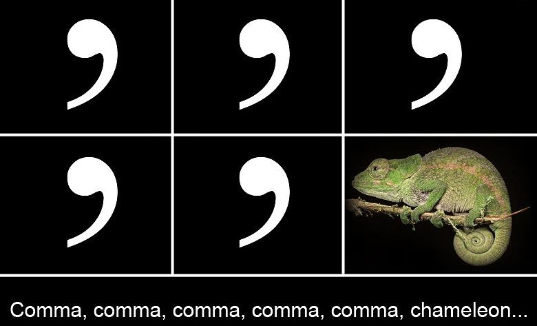 Obrázek Comma chameleon - 22-05-2012