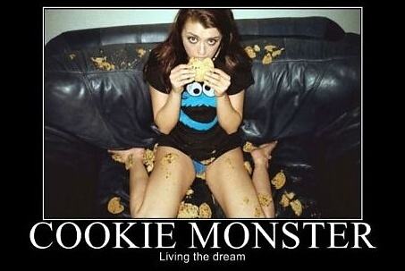Obrázek Cookie Monster