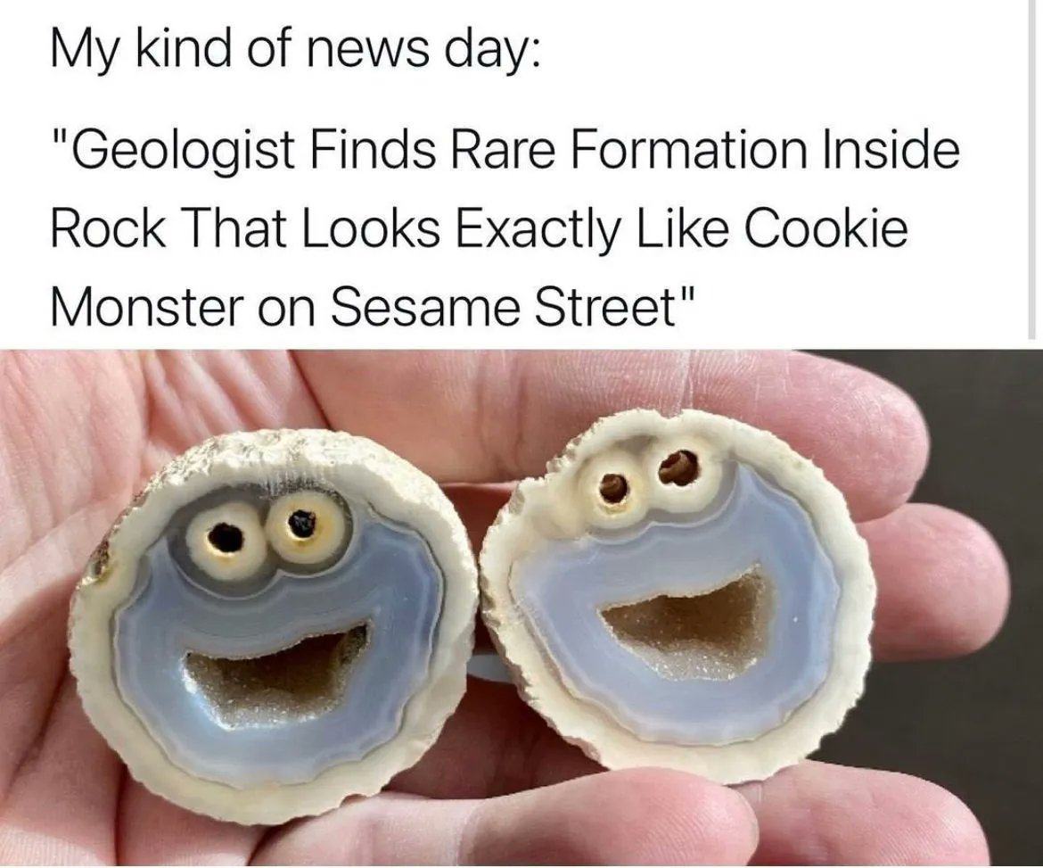 Obrázek Cookie monstrum