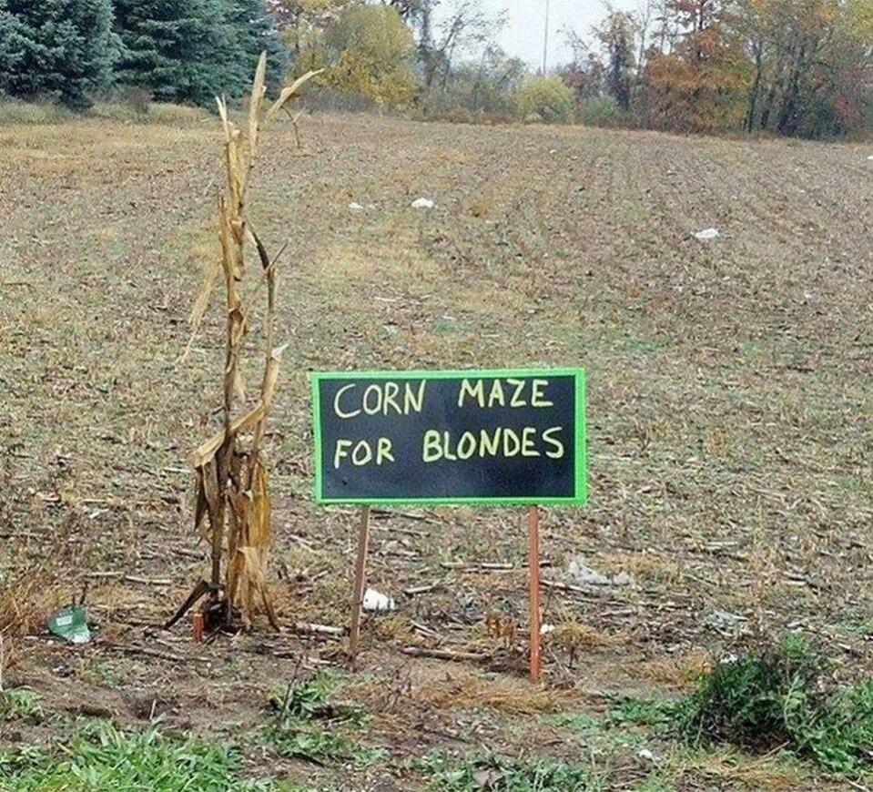 Obrázek Corn maze fixed