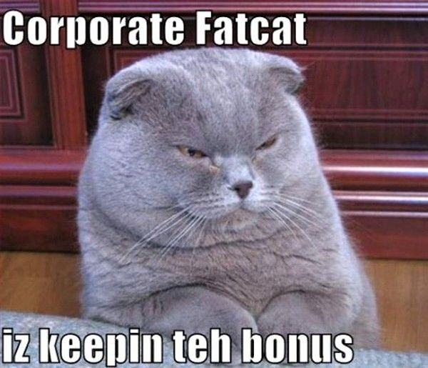 Obrázek Corporate Fatcat
