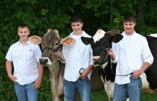 Obrázek Country Boys and Their Cows