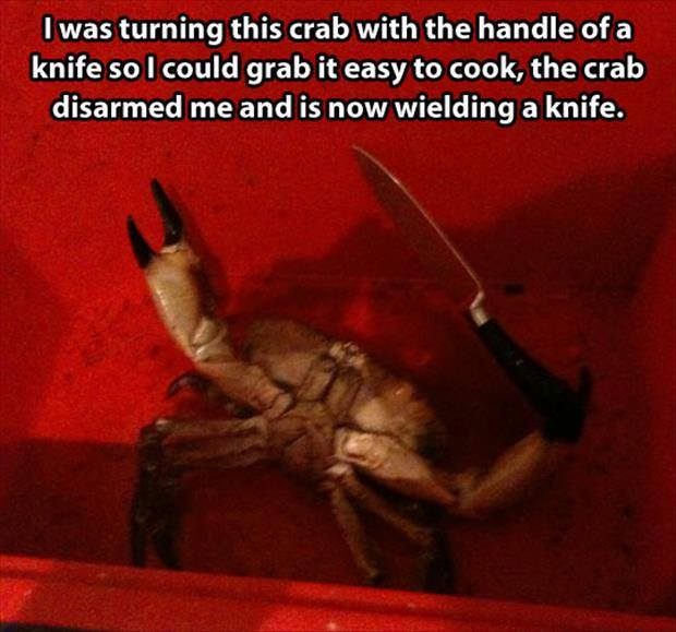 Obrázek Crab-disarm