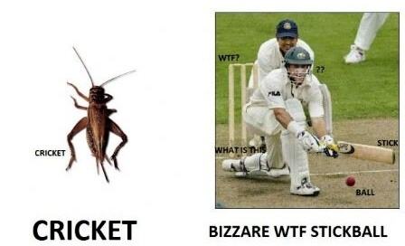 Obrázek Cricket