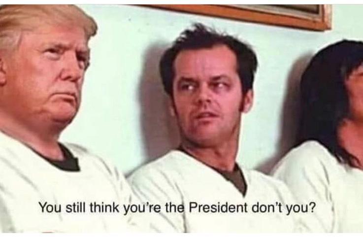 Obrázek Cuckoo&nbsp;nest&nbsp;2020