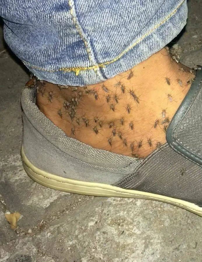 Obrázek Cursed-image
