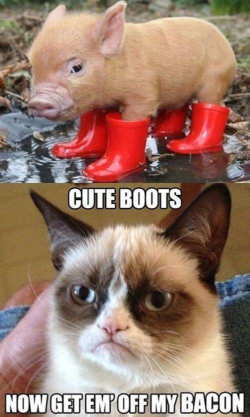 Obrázek Cute Boots    