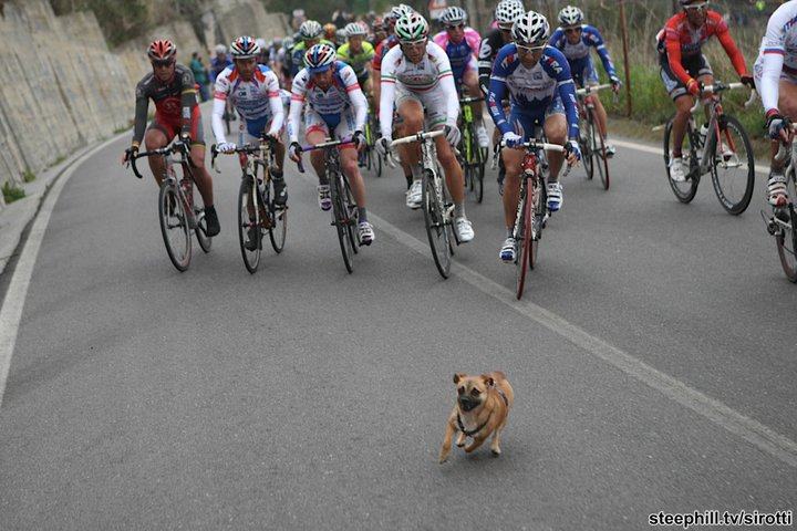 Obrázek Cyklo stvanice