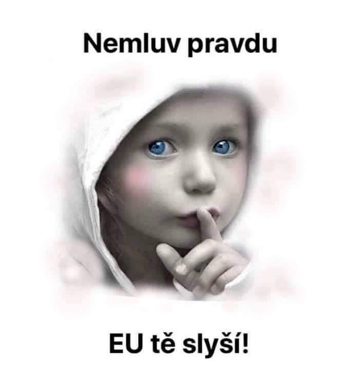 Obrázek DOba se vraci 2024