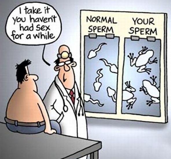 Obrázek Daily cartoon - sperm