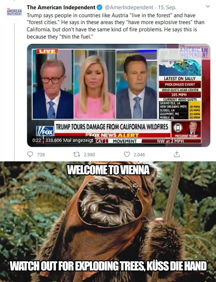 Obrázek Damn&nbsp;explosive&nbsp;trees