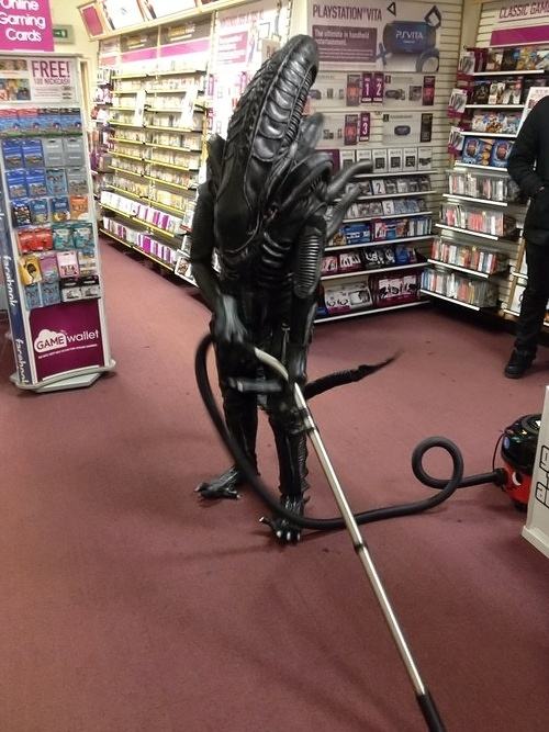 Obrázek Damn illegal aliens stealing our jobs