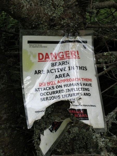 Obrázek Danger - Bears
