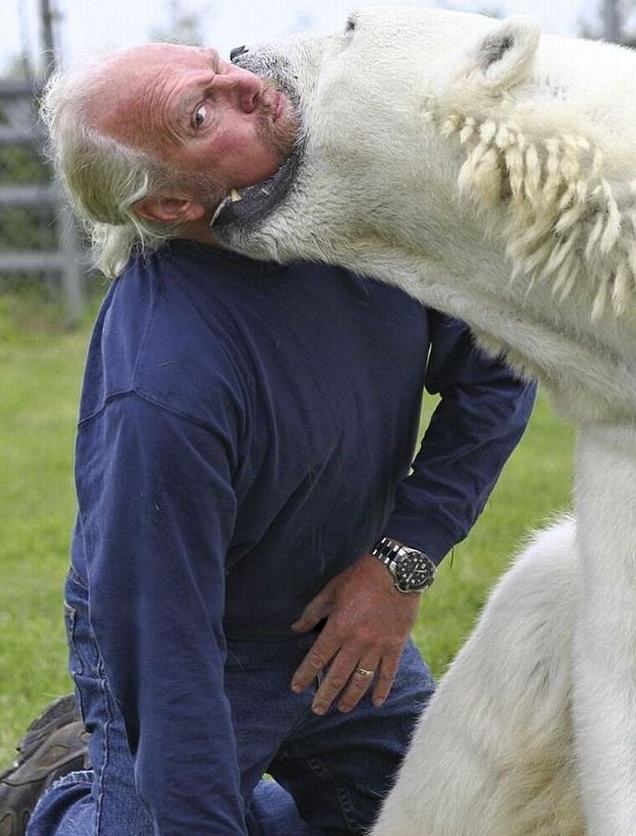 Obrázek Dangerous Animal - 16-year old white bear and trainer Mark