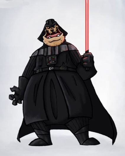 Obrázek Darth Vader