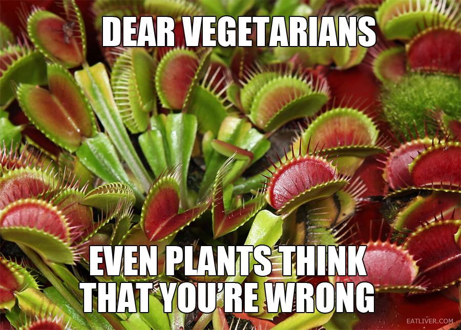 Obrázek Dear vegetarians