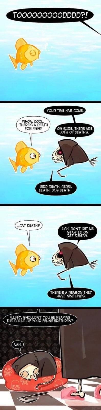 Obrázek DeathOfCats