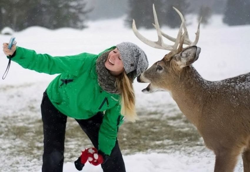 Obrázek DeerSelfie