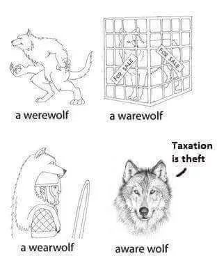 Obrázek Different-kinds-of-wolves