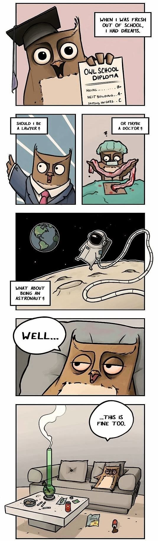 Obrázek Diploma68900