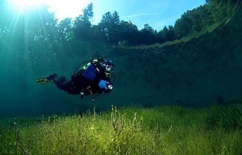 Obrázek Diving In The Forest 07-02-2012