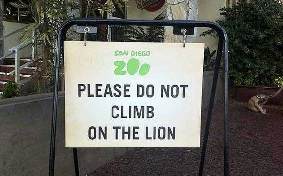 Obrázek Do Not Climb On The Lion