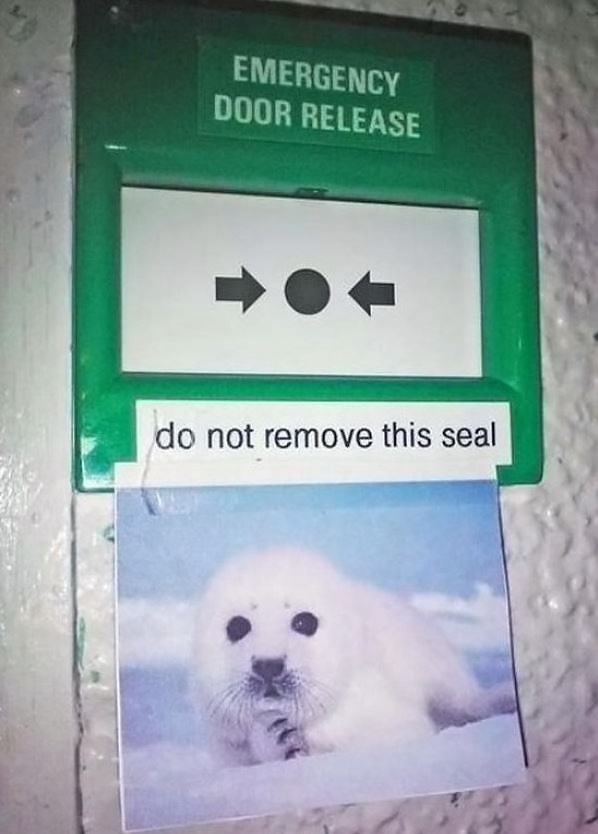 Obrázek Do Not Remove  