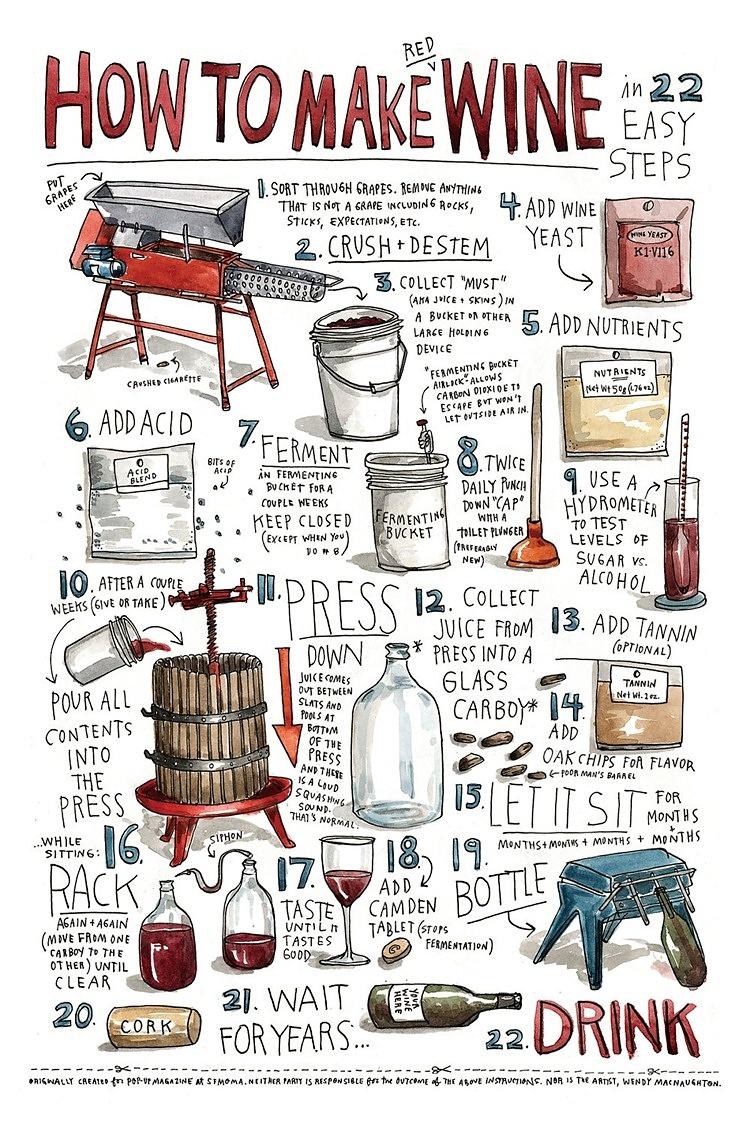 Obrázek Do You Know How to Make Wine - 18-06-2012