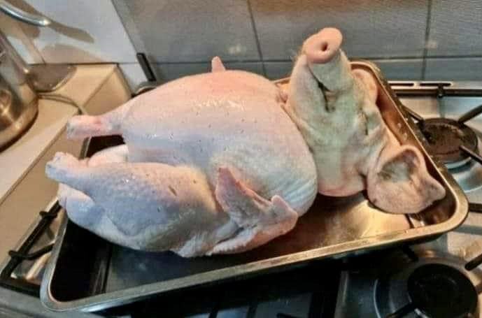 Obrázek Dobby cosplay