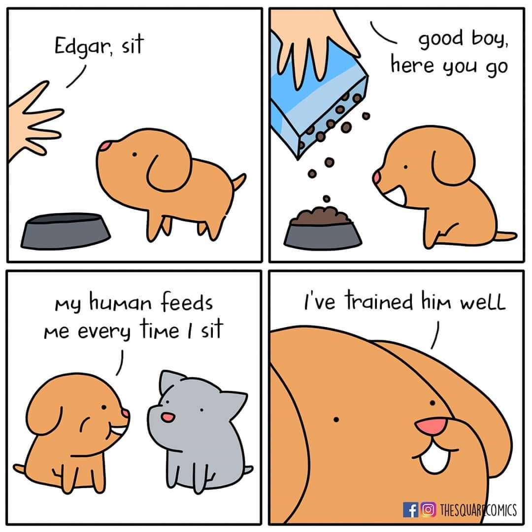 Obrázek Dobre vycviceny panicek