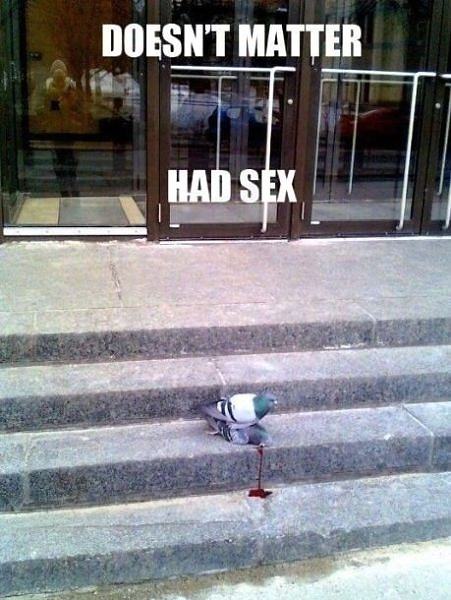 Obrázek Doesnt Matter - Had Sex - 05-07-2012