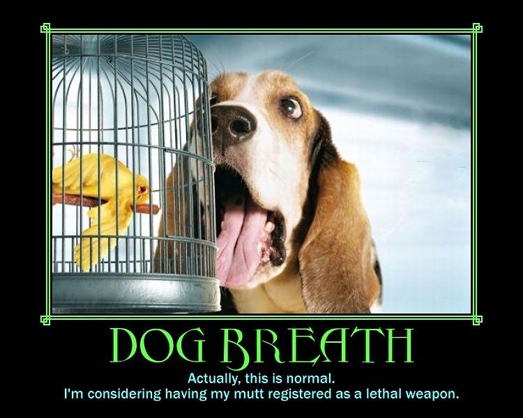 Obrázek Dog Breath 05-02-2012